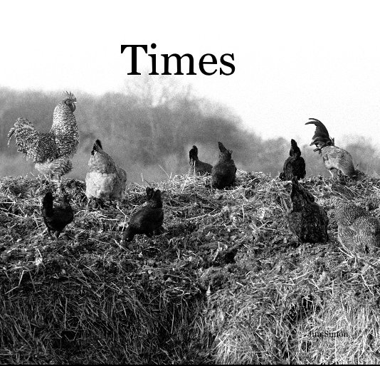 View Times by Jim Simon