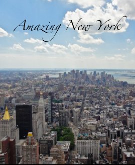Amazing New York book cover
