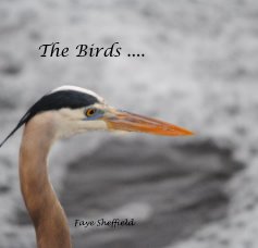 The Birds .... book cover