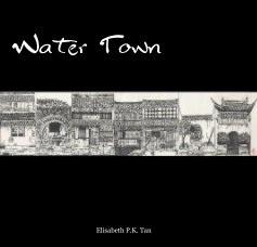 Water Town book cover