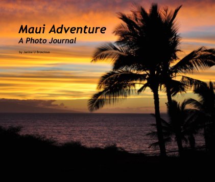 Maui Adventure book cover