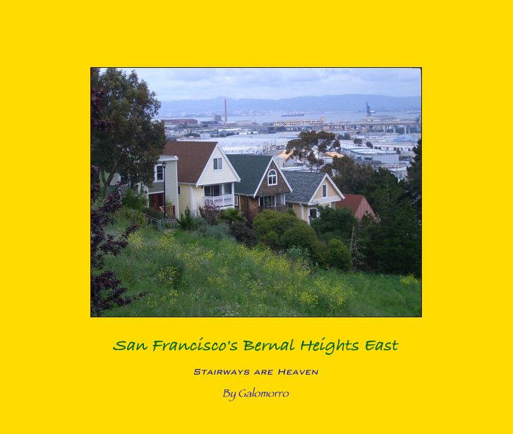 View San Francisco's Bernal Heights East by Galomorro