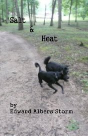 Salt and Heat-The First Poems of Edward Storm book cover