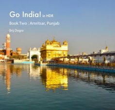 Go India! : Amritsar book cover