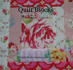 Quilt Blocks book cover