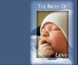 The Birth of Levi book cover