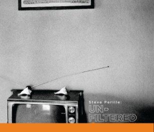 Steve Perille: Unfiltered (Catalogue, Soft cvr) book cover