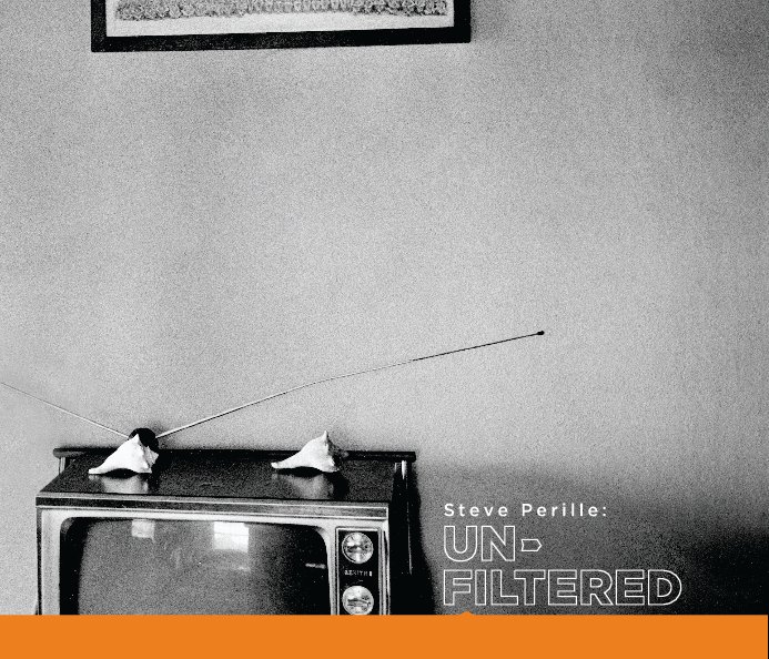 View Steve Perille: Unfiltered (Catalogue, Soft cvr) by The Light Factory