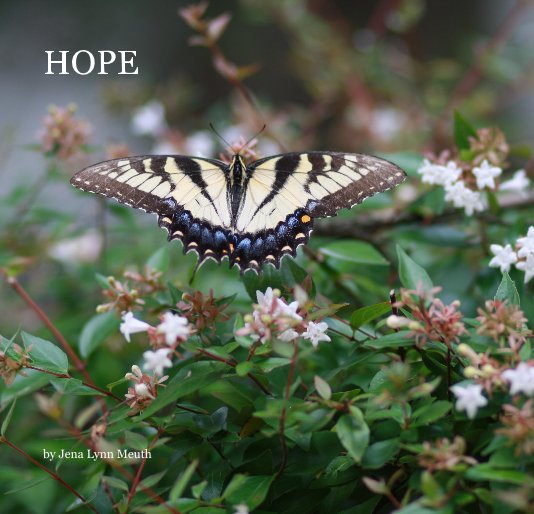 View HOPE by Jena Lynn Meuth
