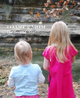 Toast 2 Mom The Second Year book cover