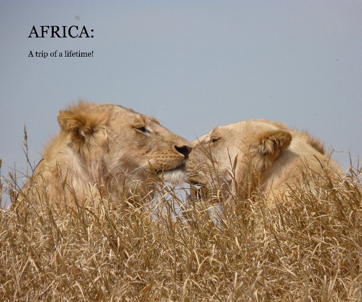 View AFRICA: by C. Kutzner