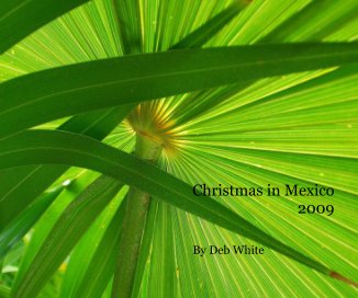 Christmas in Mexico 2009 By Deb White book cover