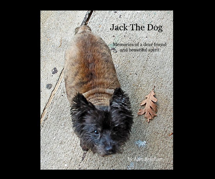 View Jack the Dog by Alan Reinhart
