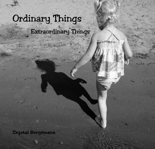 Ver Ordinary Things Extraordinary Things por Crystal Bergemann