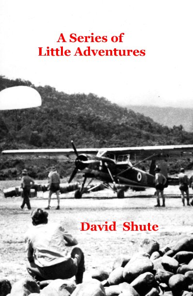 View A Series of Little Adventures by David Shute