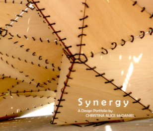 Synergy book cover