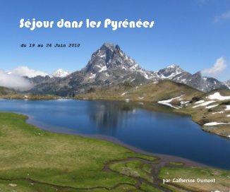 Séjour dans les Pyrénées book cover