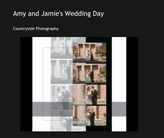 Amy and Jamie's Wedding Day book cover