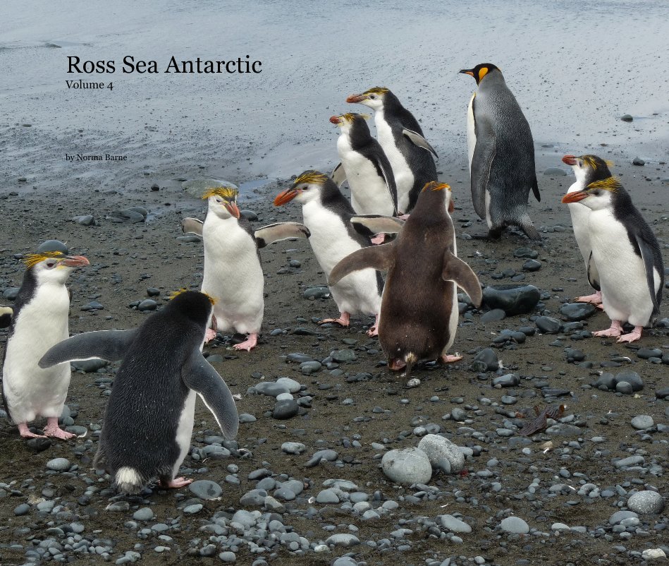 Bekijk Ross Sea Antarctic Volume 4 op Norma Barne