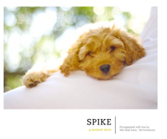 Spike book cover