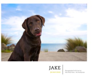 Jake book cover