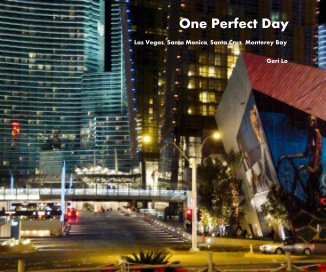 One Perfect Day book cover