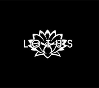 Lotus Fixture 2010 book cover