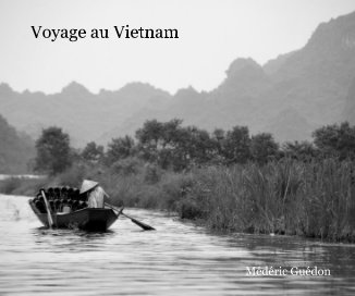 Voyage au Vietnam MÃ©dÃ©ric GuÃ©don book cover
