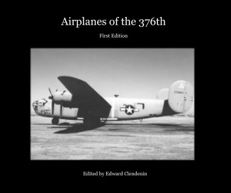 Airplanes of the 376th book cover