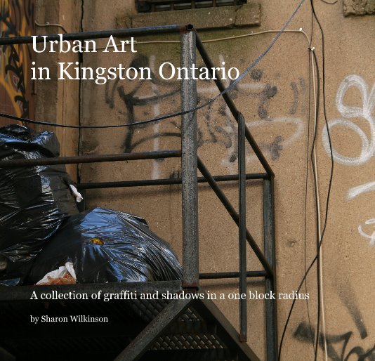 View Urban Art in Kingston Ontario by Sharon Wilkinson