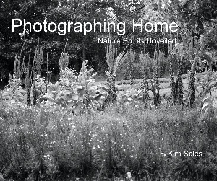 View Photographing Home by Kim Soles