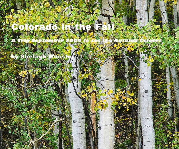Visualizza Colorado in the Fall di Shelagh Wooster