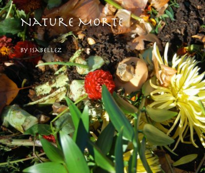 Nature Morte book cover