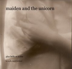 maiden and the unicorn book cover