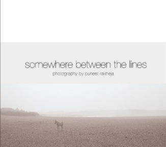 somewhere between the lines book cover