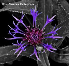 Rose Nazarian Photography book cover