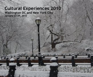 Cultural Experiences 2010 Washington DC and New York City book cover