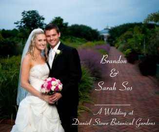 Brandon & Sarah Sos book cover