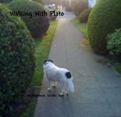 Walking With Plato book cover