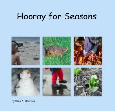 Hooray for Seasons book cover