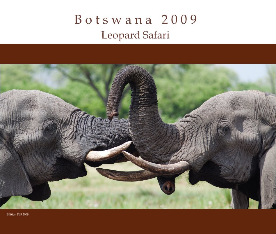 View Botswana by P. Le Strat