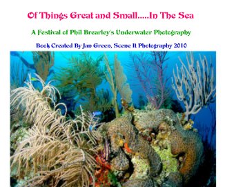Of Things Great and Small.....In The Sea book cover