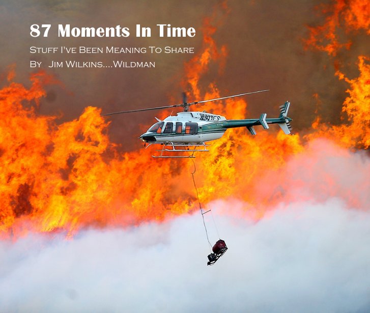 View 87 Moments In Time by Jim Wilkins....Wildman