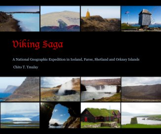 Viking Saga book cover