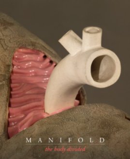 Manifold Gallery Guide book cover