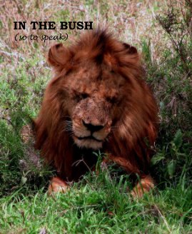 IN THE BUSH (so to speak) book cover