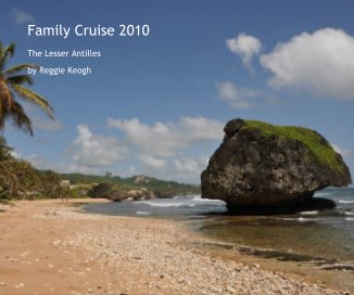 Family Cruise 2010 book cover