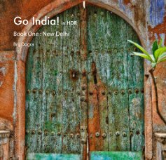 Go India! : New Delhi book cover