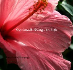 The Small Things In Life book cover