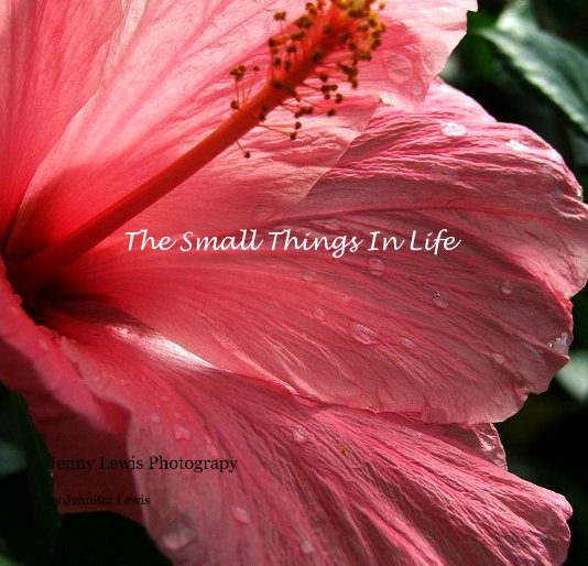 View The Small Things In Life by Jennifer Lewis
